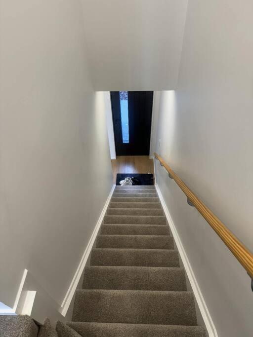 Townhouse In Auckland Central المظهر الخارجي الصورة